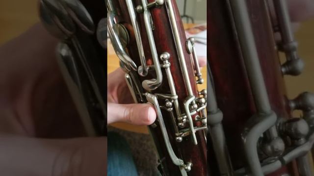 A Bassoon Playing a Slightly Sharp Middle F смотреть онлайн