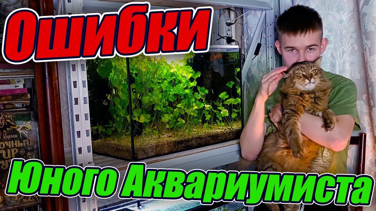 Ошибки Юного Аквариумиста и пути их решений! смотреть онлайн