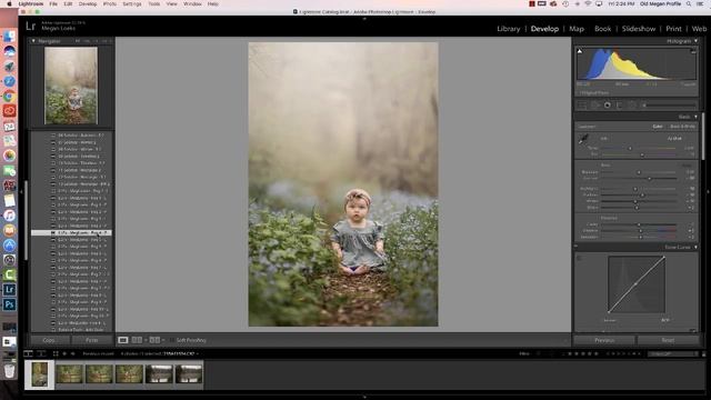 LLFx - Meg Loeks Creative Fog Brush Presets смотреть онлайн