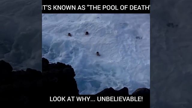 The pool of Death.. смотреть онлайн