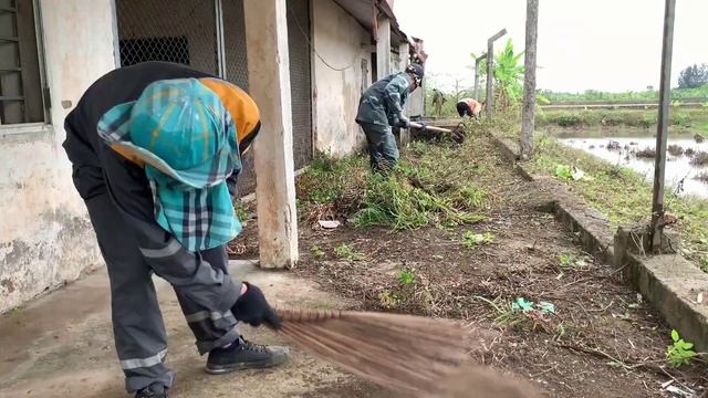 We clean abandoned house, mow lawn and collect garbage for free смотреть онлайн