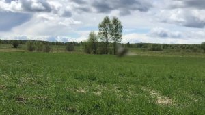 Коп в Калужской области в Дзержинском районе где-то под Кондрово.