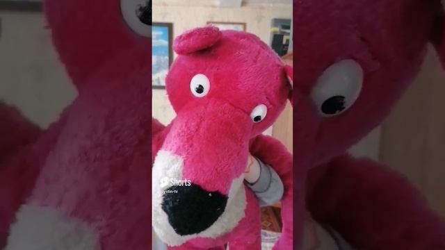 Устин и Розовая Пантера. #shorts смотреть онлайн