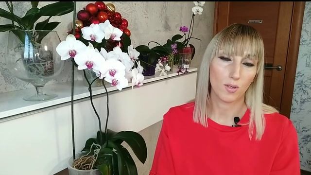 ТОП СРЕДСТВА по УХОДУ за ОРХИДЕЯМИ / МОЙ must have смотреть онлайн