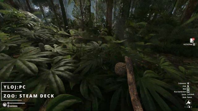 Śmierć to dobry plan na przetrwanie. Green Hell: Spirits of Amazonia w kooperacji. Steam Deck & PC смотреть онлайн