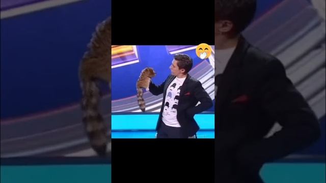Что ты делаешь когда в гости к девочкам приходишь? смотреть онлайн