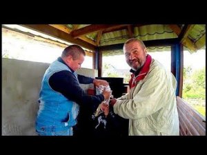 Андрюха Чуть Не Откусил Палец Серёге / Рецепт Крошка-картошка