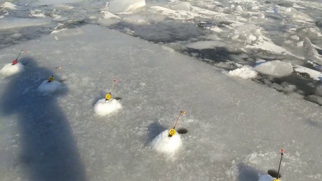 Рыбалка на корюшку 12.03.2022 г. на Финском заливе южная дамба 