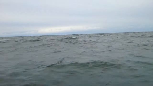 Катер Амур в неспокойном Чёрном море. смотреть онлайн