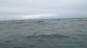 Катер Амур в неспокойном Чёрном море.