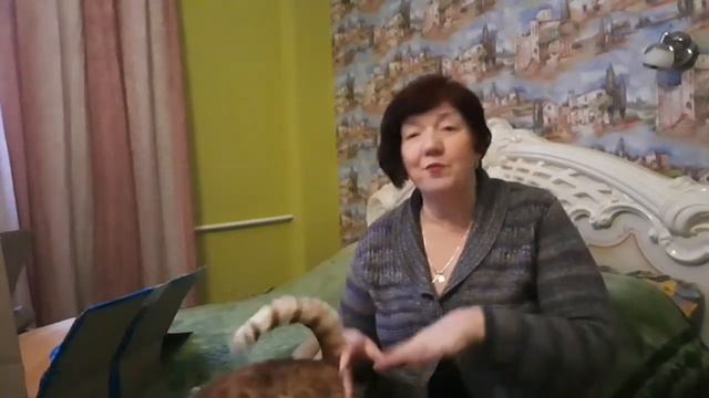 Распаковка/OZON/бесплатная доставка/подарки для моего кота