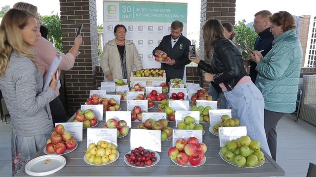 Дегустация яблок и груш. Лучшие сорта яблонь и груш для средней полосы России. смотреть онлайн