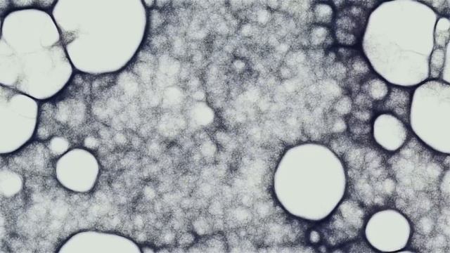 Physarum simulation. Эксперименты с алгоритмом смотреть онлайн