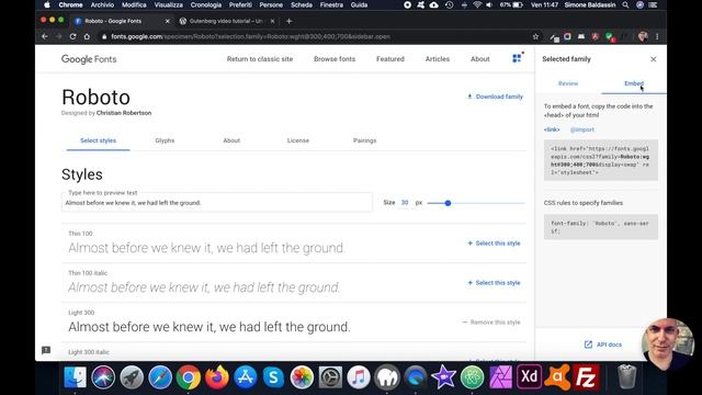 Come implementare Google fonts in un tema WordPress смотреть онлайн
