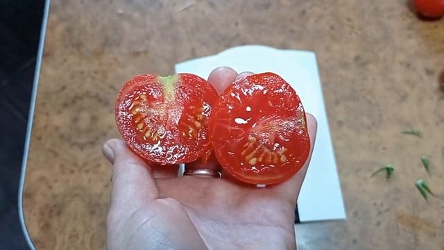 Дегустация томатов .Часть 15 , завершающая смотреть онлайн