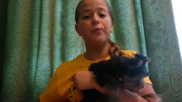 Обзор рулетки Flexi 