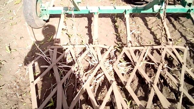 боронование всходов кукурузы тяжелой бороной юмз 6 24 мая 2020 смотреть онлайн