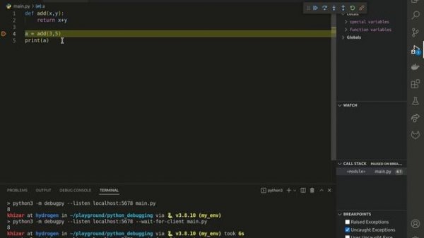 Debug Python inside Docker using debugpy and VSCode