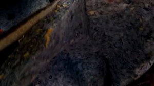 вода в салоне опель вектра с,