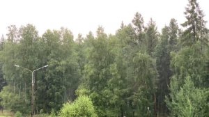 Исаак Шварц - Из кинофильма "Мелодия белой ночи" 1976г.