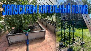 Капельный полив готов.