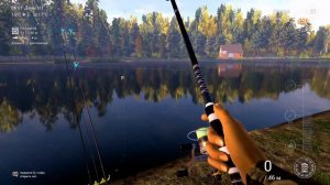 Fishing Planet, игра (трофейный карась, трофейная плотва, линь)