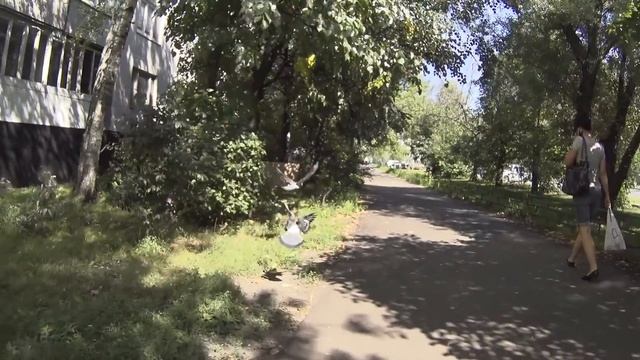 Sony AS200V Trial clip смотреть онлайн