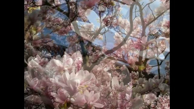 весна в германии смотреть онлайн