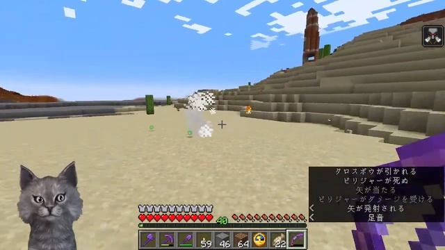 Minecraft test (Java Edition 1.19) смотреть онлайн