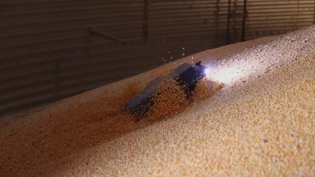 Grain Bin Robot | Grain Weevil