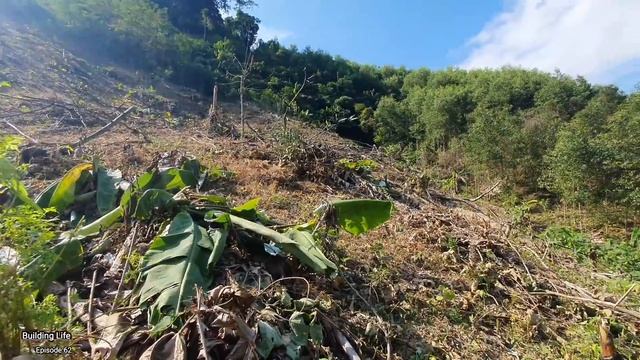 Preparing Very Large Land To Grow Upland Rice, Building Life, Episode 62 смотреть онлайн
