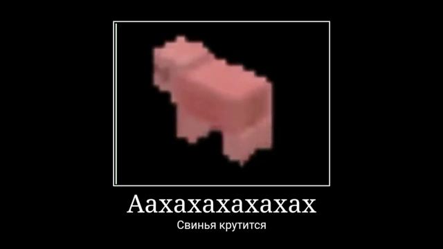 Свинья крутится смотреть онлайн