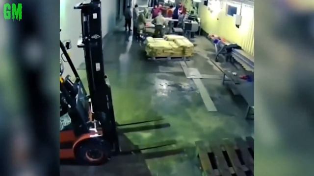 GM✅ 7 Удивительных случаев с медведями попавших на видео смотреть онлайн