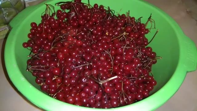 Утеплила пчёл/ Кормлю Кошку из Шприца/ Лечу Поросят Прям День Ветеринара :) смотреть онлайн