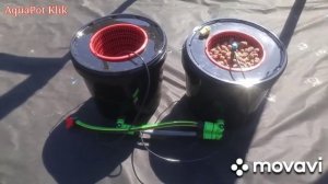 Гидропонные установки AquaPot Klik обновления