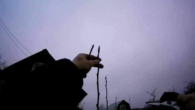 Обрезка яблони . Три вида крон для плодовых деревьев. смотреть онлайн