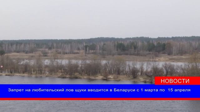 С 1 марта устанавливается запрет на лов щуки смотреть онлайн