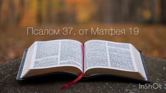 Псалом 37, от Матфея 19 (часть 2) смотреть онлайн