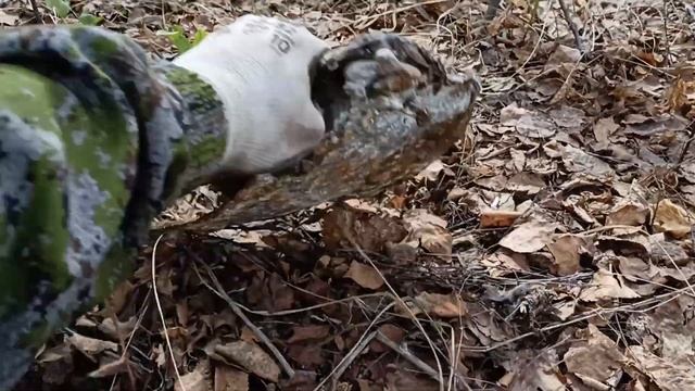 Кто бы Знал,что Там никто не Копает!!! Металлокоп!!! смотреть онлайн
