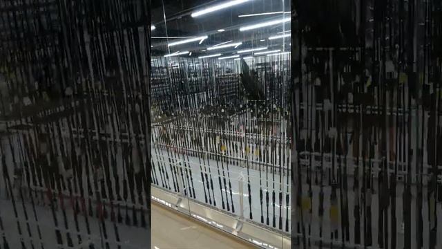 220113 Мои документы в Воронеже. Где небольшие очереди. смотреть онлайн