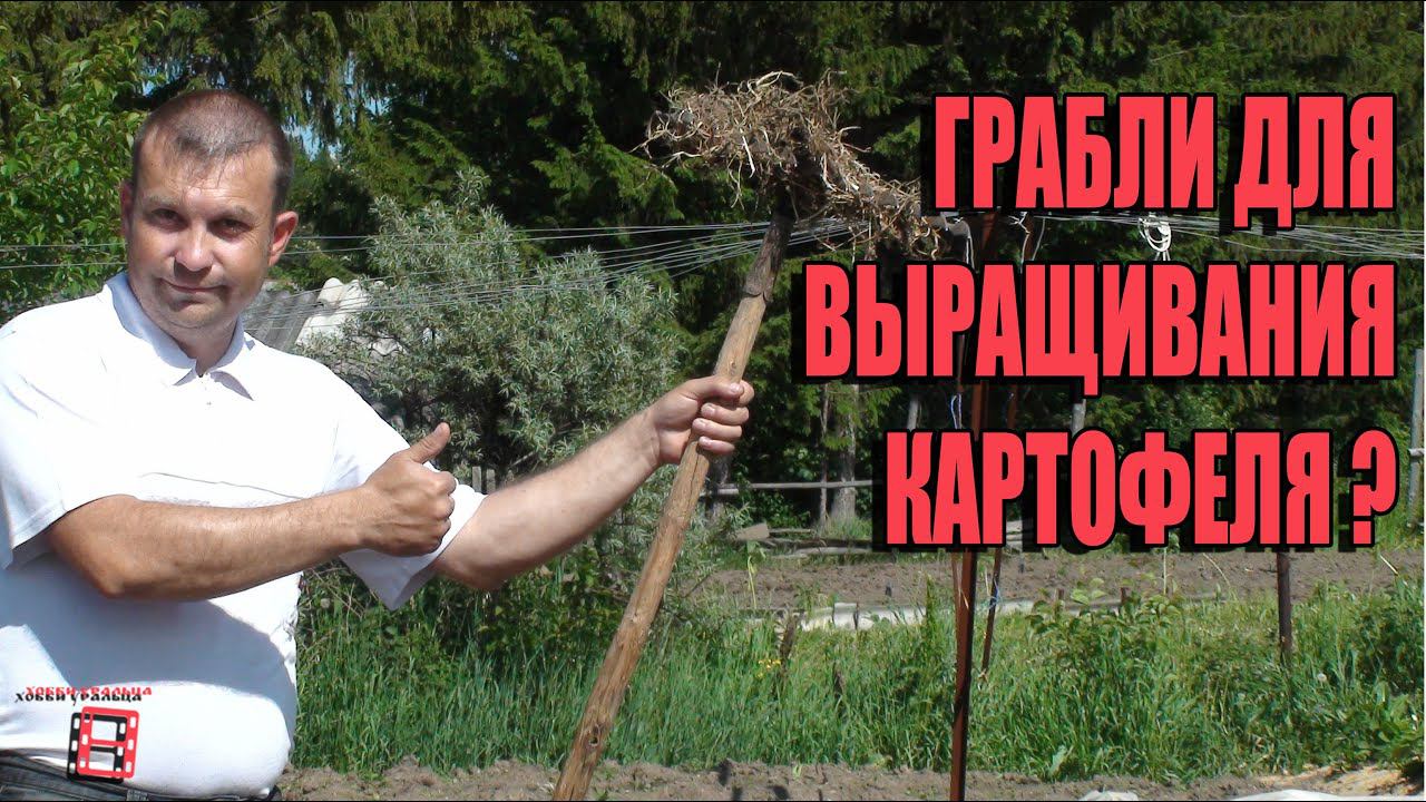 КАРТОФЕЛЬ И ГРАБЛИ? СЕКРЕТЫ ВЫРАЩИВАНИЯ КАРТОФЕЛЯ 1. БОРЕМСЯ С СОРНЯКАМИ. САД (ОГОРОД) И ТЕПЛИЦА смотреть онлайн