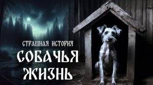 Страшная история "Собачья жизнь"
