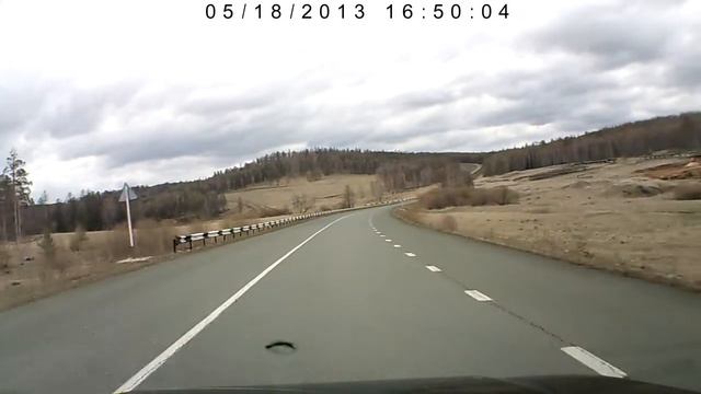 Собака заднего вида смотреть онлайн