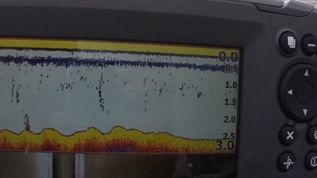 Жерех на экране эхолота Lowrance Tripleshot. Как эхолот распознает рыбу, Fish Id.