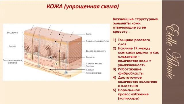 Долой морщины! Технология «Anti-Gravity» (Антигравитация) смотреть онлайн