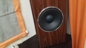 Самодельные колонки с купольными динамиками.