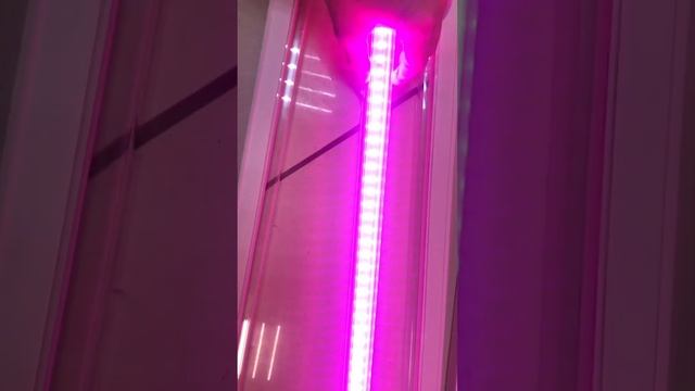 28 ноября 2022 г. смотреть онлайн