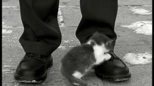 Объединение безопасности "Сатурн г. Екатеринбург смотреть онлайн