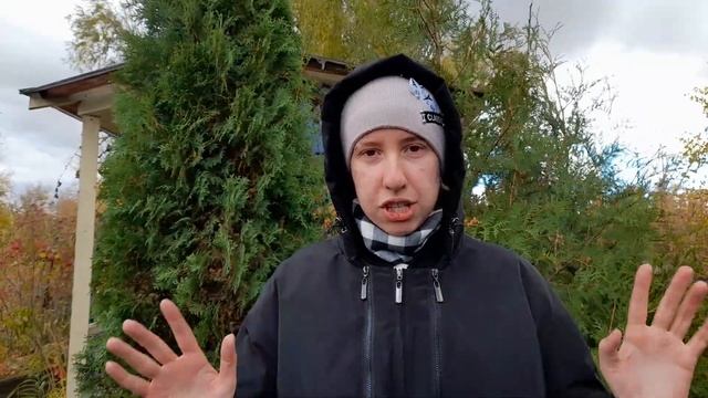 КАК ВЫРАСТИТЬ КОМНАТНУЮ РОЗУ?// Очень СЛОЖНАЯ культура-так ли это?// Alex Li смотреть онлайн