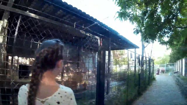 Евпатория, зоопарк, детский парк аттракционов смотреть онлайн
